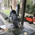 護王神社の写真_491537