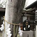護王神社の写真_491538