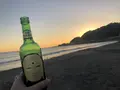 由比ガ浜海水浴場の写真_491664
