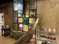 箱根町立 箱根ジオミュージアムの写真_492286