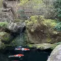 京都市の写真_493068