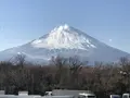 EXPASA足柄 (下り)の写真_493250