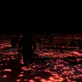 【閉業】森ビルデジタルアートミュージアム：エプソン チームラボボーダレス（MORI Building Digital Art Museum: EPSON teamLab Borderless）の写真_495780