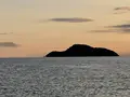 志島ヶ原梅林の写真_499161