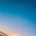 志島ヶ原梅林の写真_499163