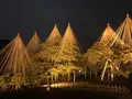 兼六園の写真_502409