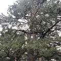 長町武家屋敷跡の写真_502456