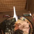 一蘭 小倉店の写真_503702