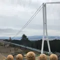 三島スカイウォークの写真_505096
