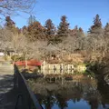 珊瑚寺の写真_505193