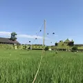 ラコリーナ近江八幡の写真_505432