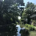 八幡堀の写真_505565