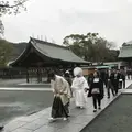 宗像大社の写真_505868