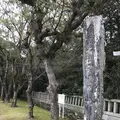 宗像大社の写真_505870