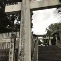 宮地嶽神社の写真_505890