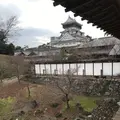 小倉城庭園の写真_505992
