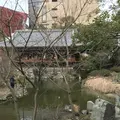 小倉城庭園の写真_505993