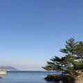 絵島の写真_511245