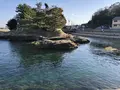 絵島の写真_511247
