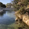 絵島の写真_511248