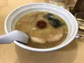 一期一会の写真_511436