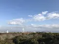 万博記念公園の写真_512724