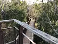 万博記念公園の写真_512726