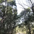 万博記念公園の写真_512729