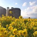 第1なぎさ公園の写真_512883