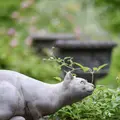 上野ファームの写真_513917