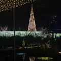 あしかがフラワーパークの写真_514603