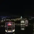 あしかがフラワーパークの写真_514605