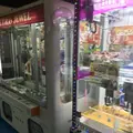 大慶園遊園地の写真_514715