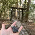 滝尾神社の写真_518840
