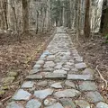 滝尾神社の写真_518958