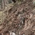 滝尾神社の写真_518969