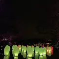 チームラボ  森と湖の光の祭の写真_519325