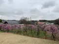 名古屋市農業センターの写真_523010