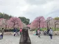 名古屋市農業センターの写真_523012