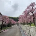名古屋市農業センターの写真_523013