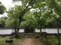 浄住寺の写真_523074