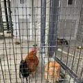 名古屋市農業センターの写真_523252