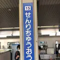 千里セルシーの写真_523522