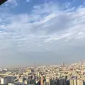 若草山の写真_525929
