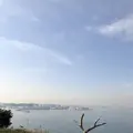 猿島の写真_526801