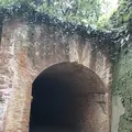 猿島の写真_526803
