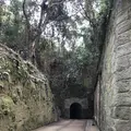 猿島の写真_526805