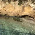 猿島の写真_526807