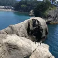 堂ヶ島洞窟めぐりの写真_527396