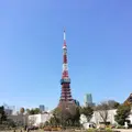 芝公園の写真_528726